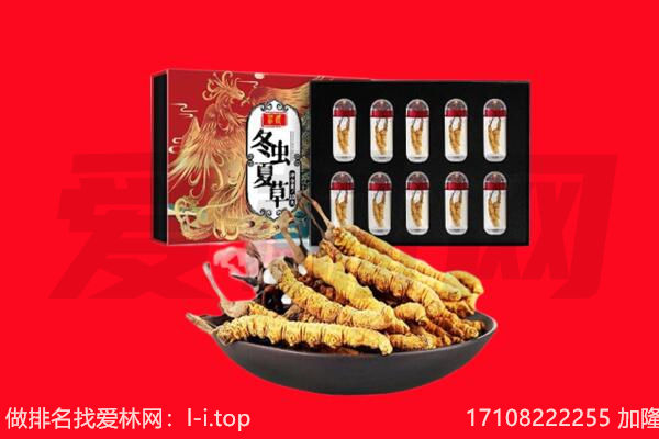 怒江福贡县回收虫草.jpg